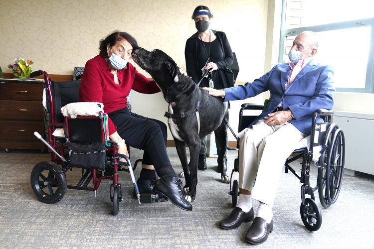 Dogs ease pandemic isolation for nursing home residents | News, Sports, Jobs - Vimarsana News